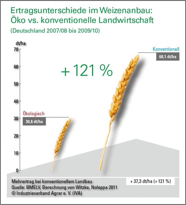 Öko-vs-konventioneller-Weizenanbau